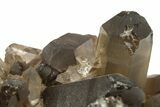 Dark Smoky Quartz Crystal Cluster - Brazil #273012-1